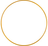 Metal Rings 9in (22.8cm) Brass 25 pcs