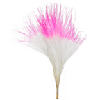 Marabou Feathers4-6in Wht/Hot Pink