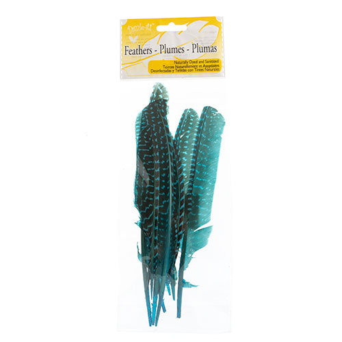 Guinea Fowl Quill 6-9in Turquoise