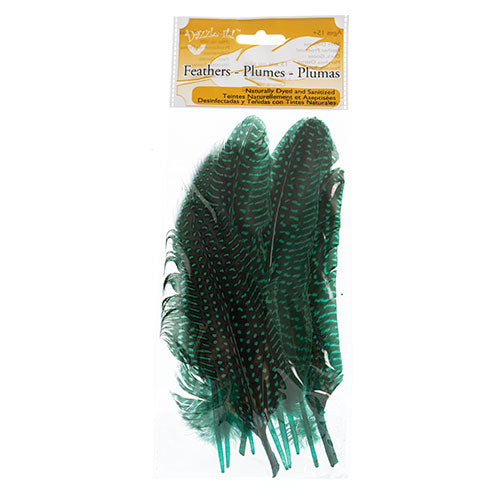Guinea Fowl Quill 6-9in Green