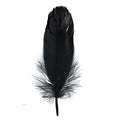 Goose Feathers 5-7in Black