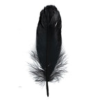 Goose Feathers 5-7in Black