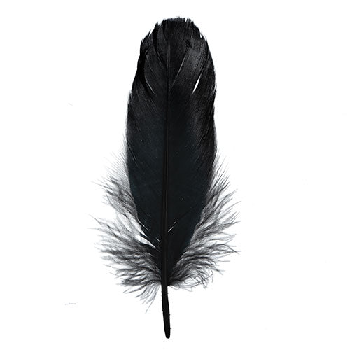 Goose Feathers 5-7in Black