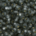 Czech Seed Bead 6/0 22g Vial Silver Lined  GREY MATT