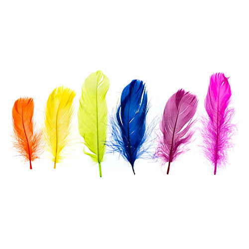 Turkey Plumes 4-6in Neon Mix