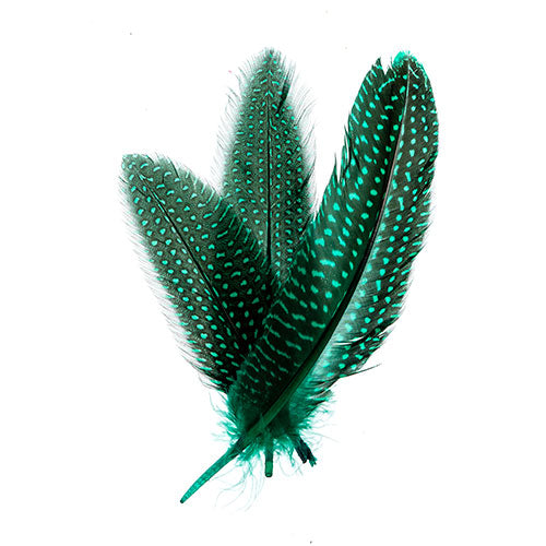 Guinea Fowl Quill 6-9in Green