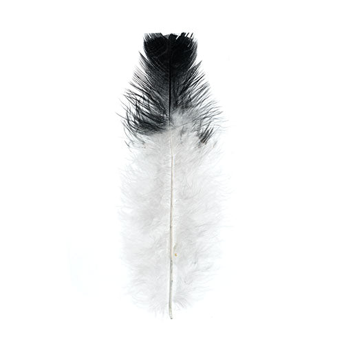 Marabou Feathers 4-6in Wht/Black