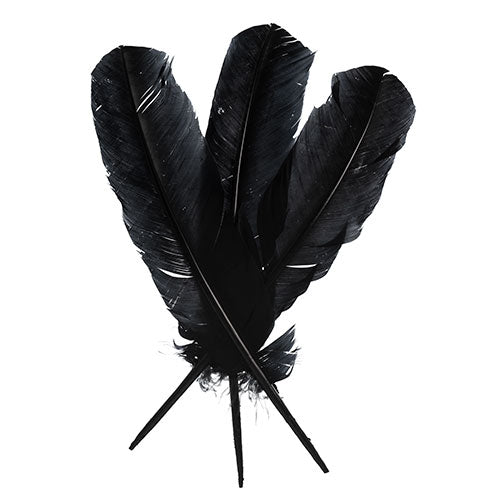 Turkey Quill 12in Black