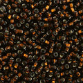 Czech Seed Bead 10/0 Silver Lined  BROWN 22g Vial