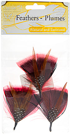 HAT TRIM TURKEY PLUMAGE/GUINEA 7cm RED/BLACK/WHITE