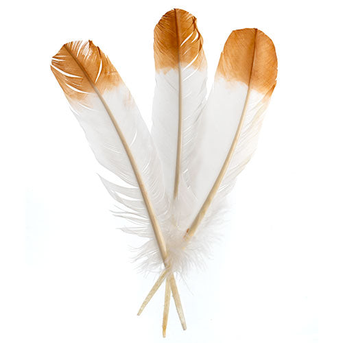 Imitation Eagle Feather 12in Wht/Brn