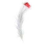 Marabou Feathers 4-6in White/Red