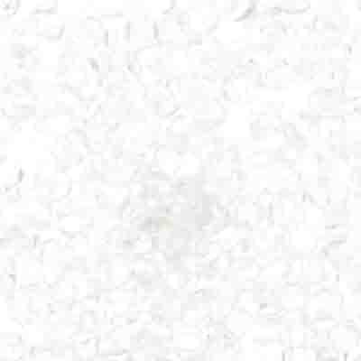 Czech Seed Bead 8/0 22g Vial TR CRYSTAL