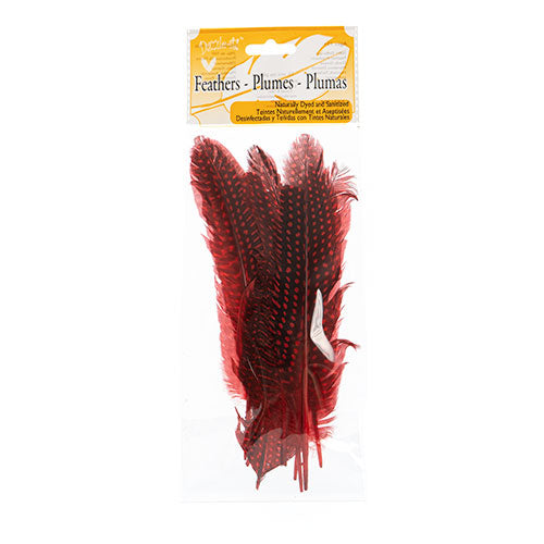 Guinea Fowl Quill 6-9in Red