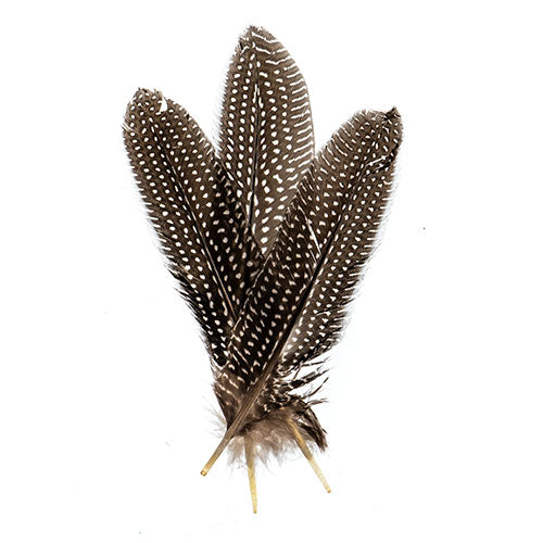 Guinea Fowl Quill 6-9in White