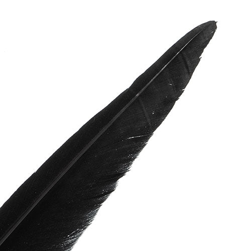 Duck Quill 7in Black
