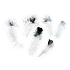 Marabou Feathers 4-6in Wht/Black