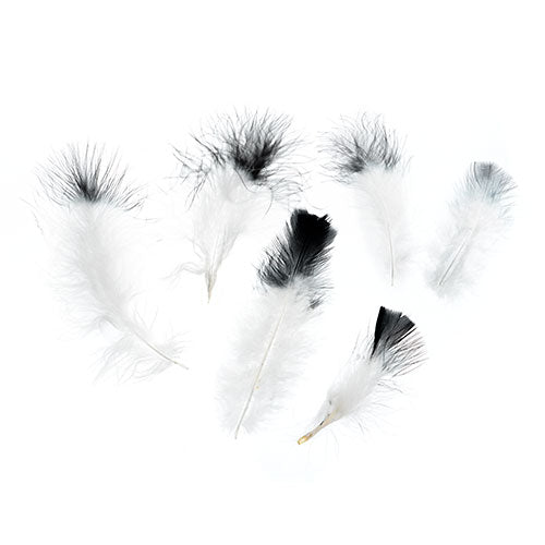 Marabou Feathers 4-6in Wht/Black