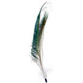 HAT TRIM PEACOCK SWORD/MARABOU 30cm WHITE/GREEN