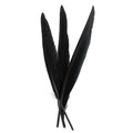 Duck Quill 7in Black