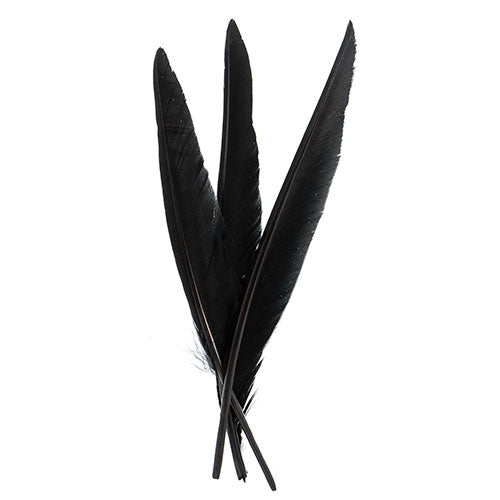 Duck Quill 7in Black