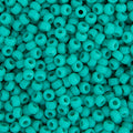 Miyuki Seed Beads 11/0 Turquoise Green Opaque