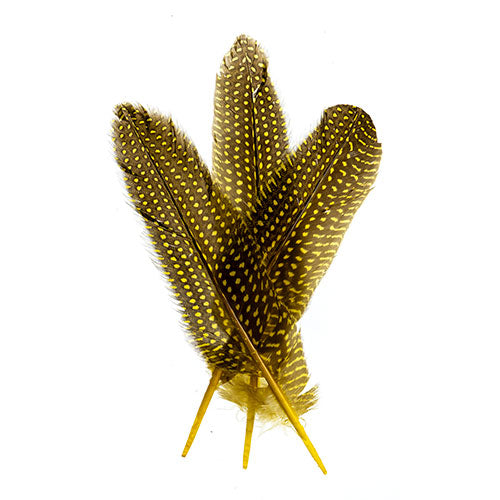 Guinea Fowl Quill 6-9in Yellow