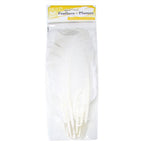 Turkey Quill 12in White