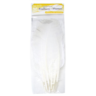 Turkey Quill 12in White