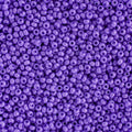 Czech Seedbead 10/0 22g Vial Opaque Dyed Dark Violet