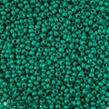 Czech Seedbead 10/0 22g Vial Terra Intensive Dark Green