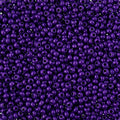 Czech Seedbead 10/0 22g Vial Terra Intensive Purple