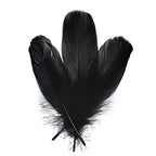 Goose Feathers 5-7in Black