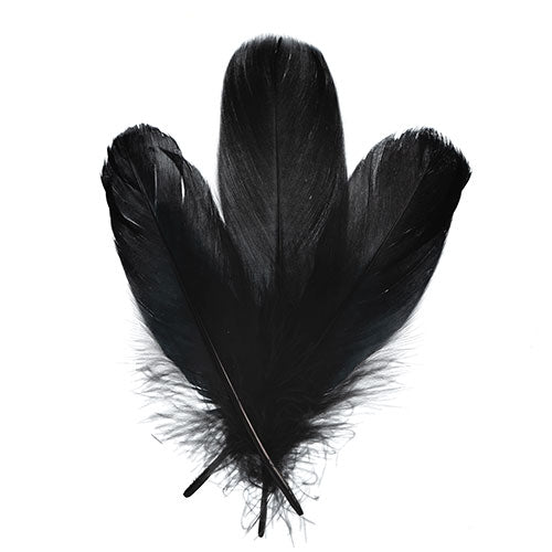Goose Feathers 5-7in Black
