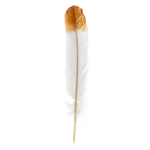 Imitation Eagle Feather 12in Wht/Brn