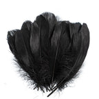 Goose Feathers 5-7in Black