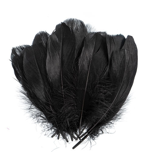 Goose Feathers 5-7in Black