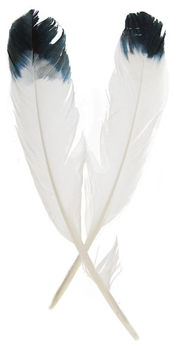 Imitation Eagle Feather 12in Wht/Blk