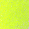 Miyuki Delica 11/0 5.2g Vial Limeade Silk Inside Dyed