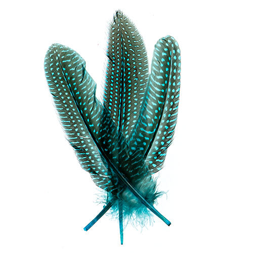 Guinea Fowl Quill 6-9in Turquoise