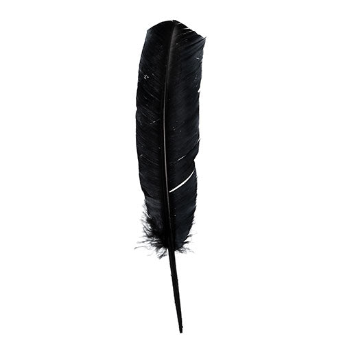 Turkey Quill 12in Black