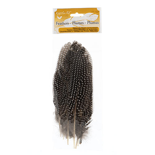 Guinea Fowl Quill 6-9in White