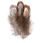 Pheasant Feather Natural