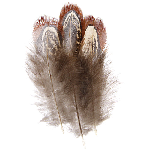 Pheasant Feather Natural