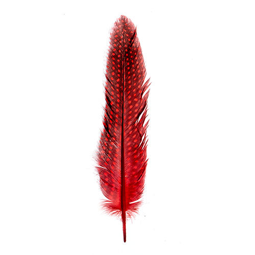 Guinea Fowl Quill 6-9in Red