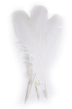 Turkey Quill 12in White