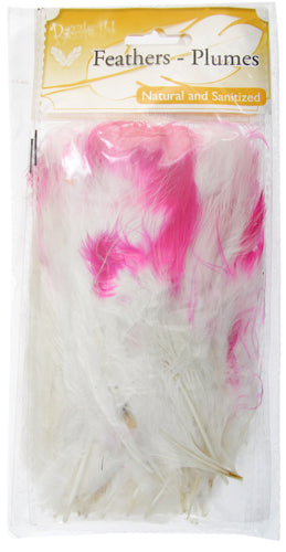 Marabou Feathers4-6in Wht/Hot Pink