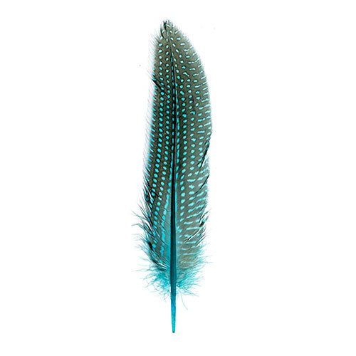 Guinea Fowl Quill 6-9in Turquoise