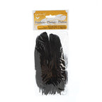 Goose Feathers 5-7in Black