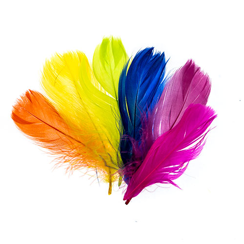 Turkey Plumes 4-6in Neon Mix